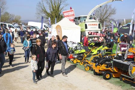 Gregorjev Sejem 2025, Foto-Maticˇ Andrej (30)